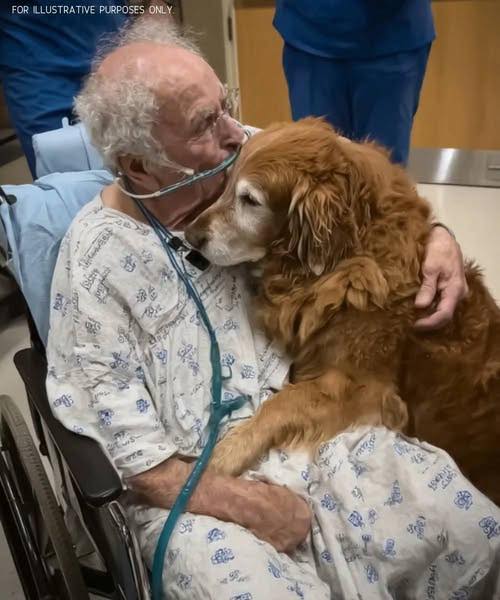 He Patient Kept Plea for ‘Murphy’—A Name That Left Everyone Puzzled