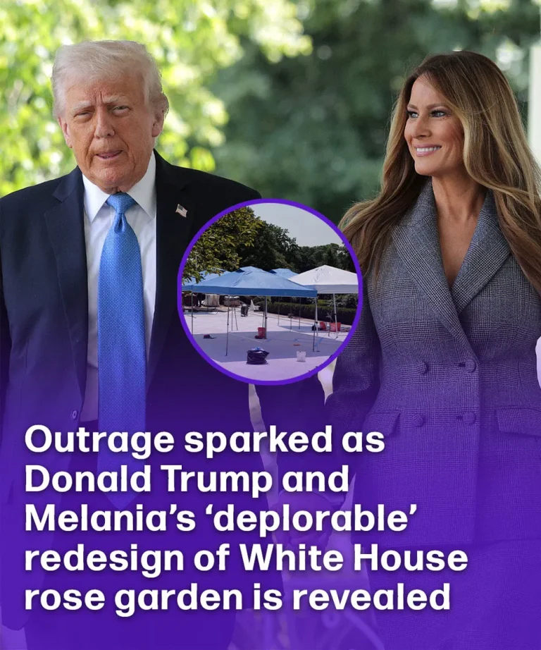 Outrage sparked as Donald Trump and Melania’s ‘deplorable’ redesign of White House rose garden is revealed