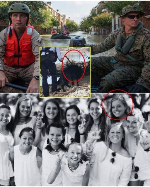Police have confirmed the final missing girl from Camp Mystic has been found — just 800 meters from home. But the true shock wasn’t her location… it was the silent, haunting image rescuers saw when they reached her. Her tear-streaked face carried something no one was prepared to see. Search dogs froze. Hardened officers broke down. Clutched tightly in her tiny hands was an object that told the story of her fight to survive… and when she whispered just four words to the officer who lifted her up, every exhausted rescuer and trembling parent collapsed in tears.  Full, devastating details below…