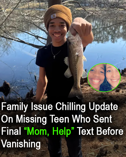 Decomposing body found in search for teen who sent final “Mom help” text