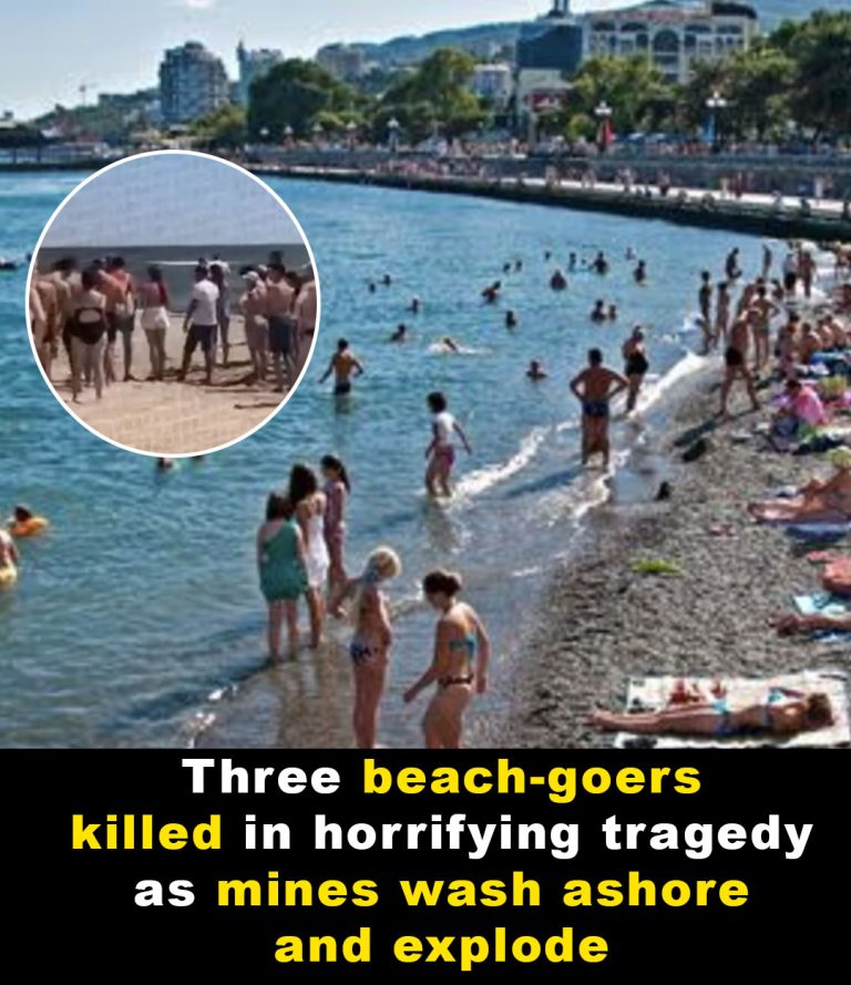 Beach-goers killed when sea mines wash up and explode