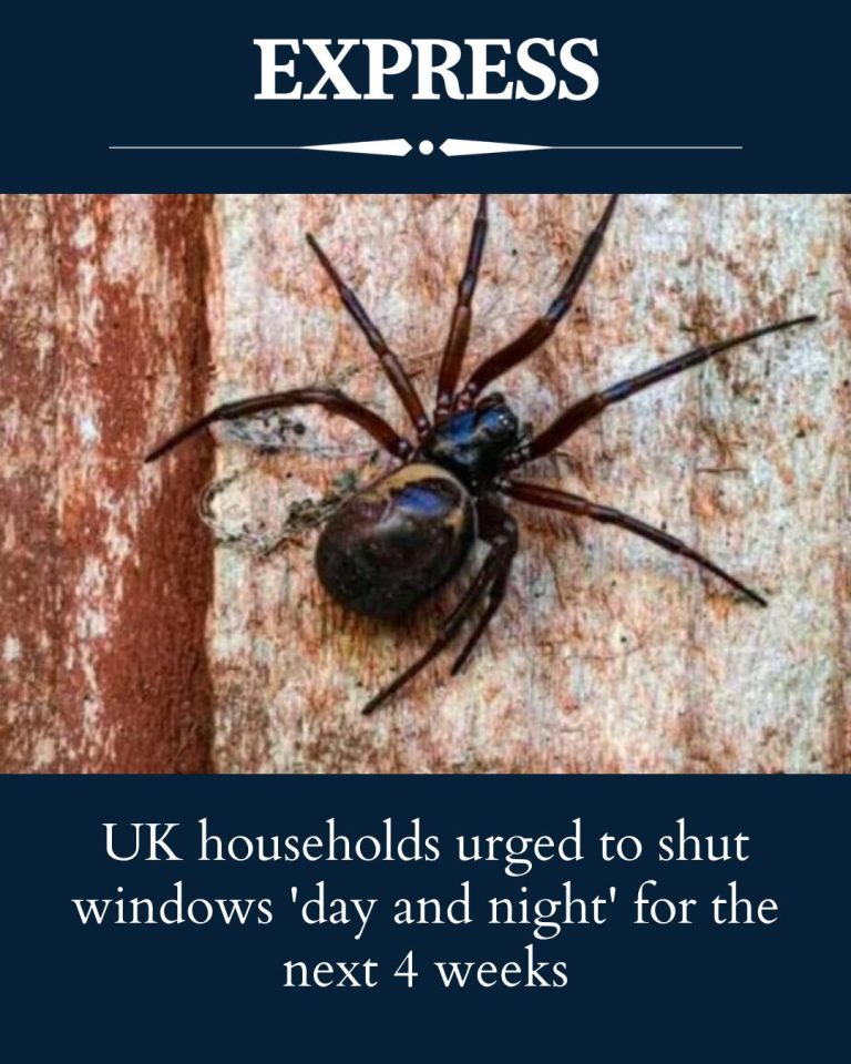 UK households urged to shut windows ‘day and night’ for the next 4 weeks