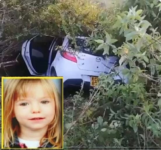 Missing girl found in the woods, her father was the one who…See more